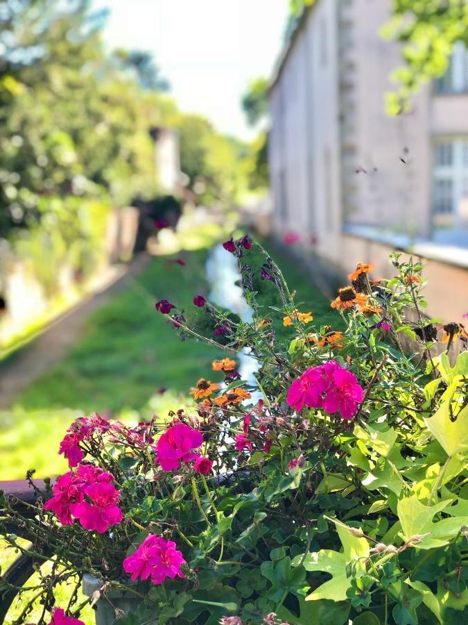 Residence Thermotel Bourbonne-les-Bains Esterno foto